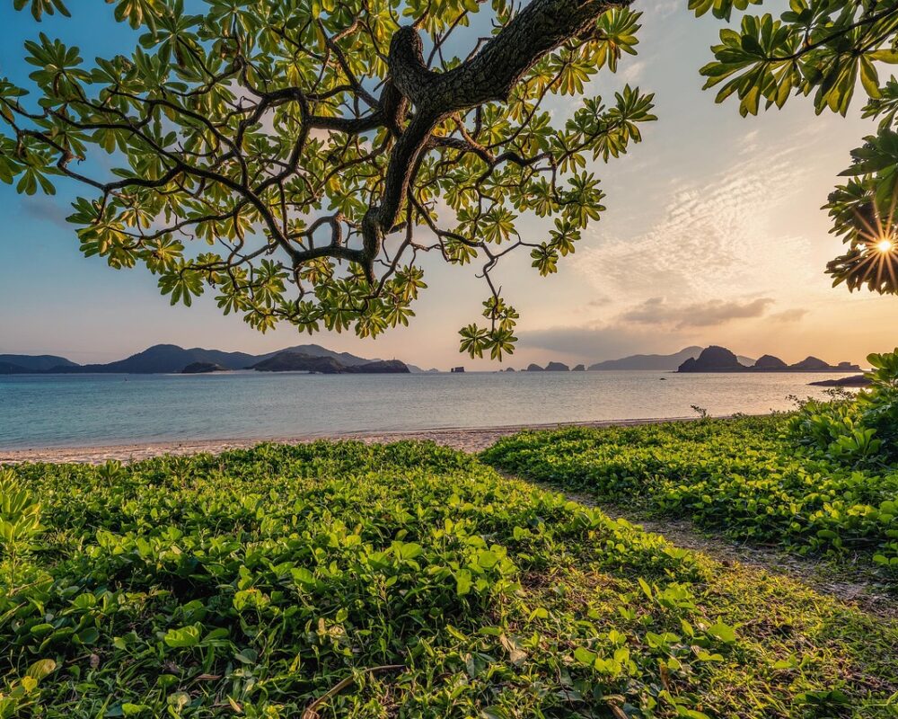 Upplevelser bortom Göteborgs gränser - Bild.